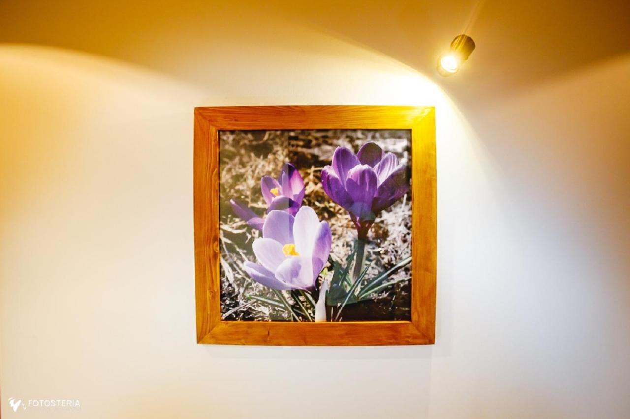Willa Dorula Ciche Małe Exteriér fotografie